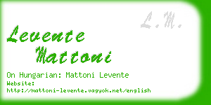 levente mattoni business card